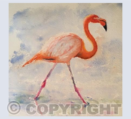 Flamingo strolling