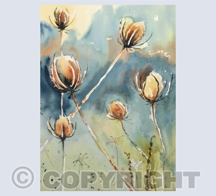 Autumn Teasels