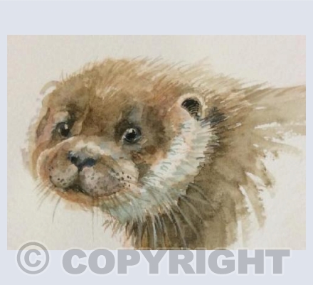 Otter