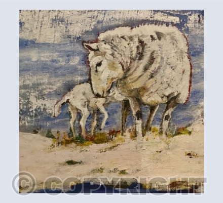 Snow sheep in the Ceiriog Valley