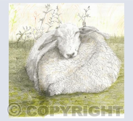 'Cwtch' - A hug.