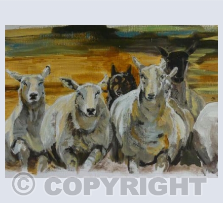 Bran gathering his flock