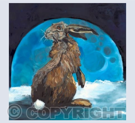 St Melangell's Hare
