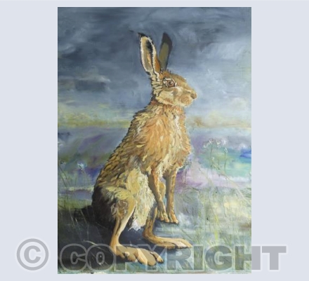 Summer Storm on the Berwyns