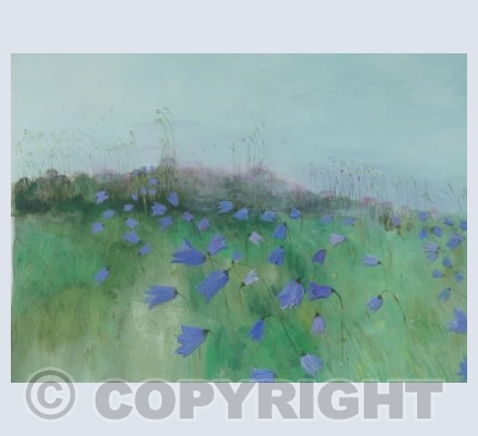 Summer harebells dancing on Y Foel 