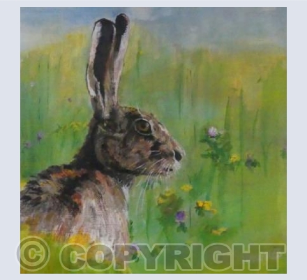  'Magnificent Meadows' - Hare