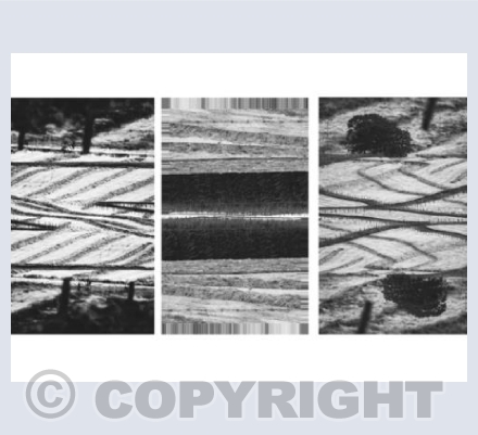 RTSL001 (Abstract Hay Making)