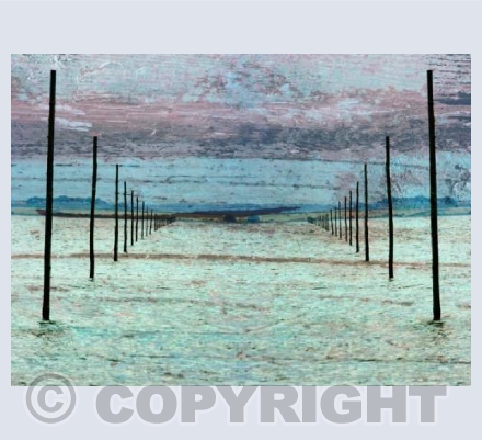 RTSA007 (Pilgrims Path 1)
