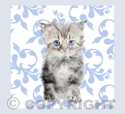 Kitten Chintz in Blue