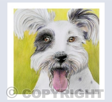 Terrier Dog - My Best Friend