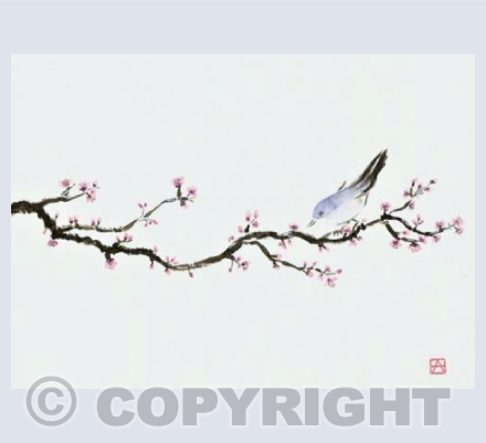Blue Bird and Blossom