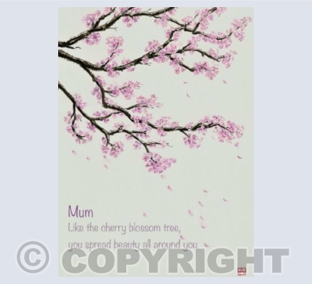 Beautiful blossom for Mum