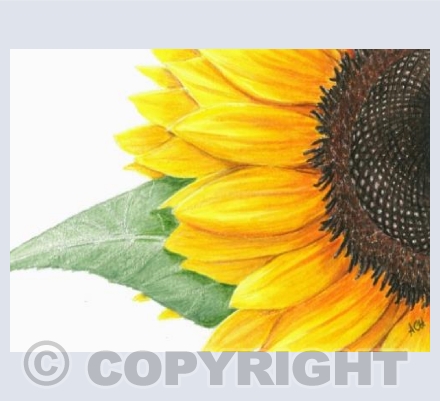 Help For The Mothers of Ukraine