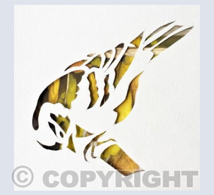 Golden Bird