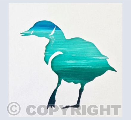 Seagreen Duck