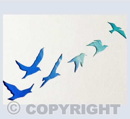 Flying High in the Blue
