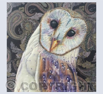 The Owls Tale
