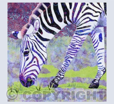 Zebra Fields
