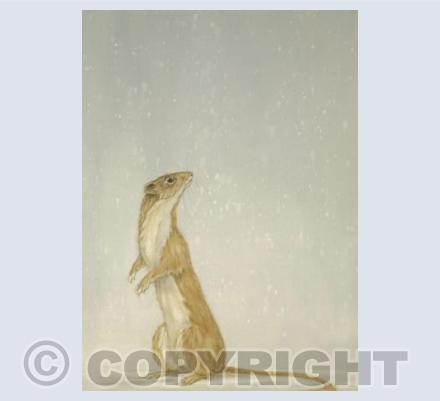 Weasel and Snow