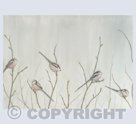 Long Tailed Tits