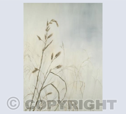 Wayside Grasses
