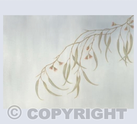 Eucalyptus in Flower