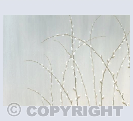 Willow Wands