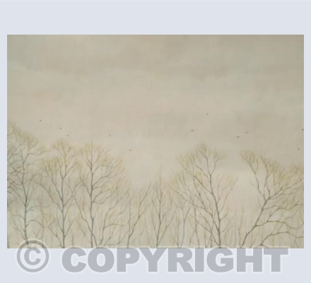 Trees and Crows