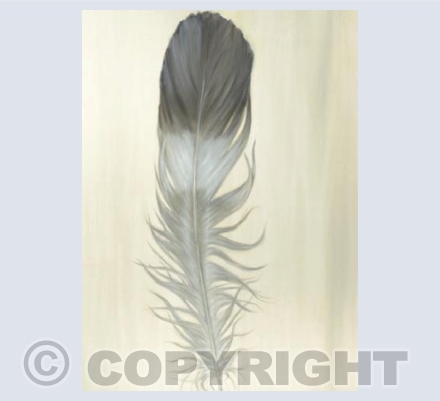 Banded Feather