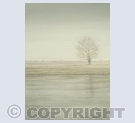 River and Tree