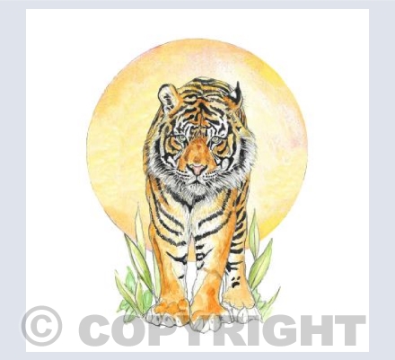 Fierce Tiger