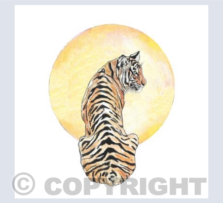Glancing Tiger