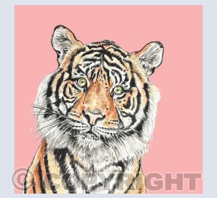 Curious Tiger Pink