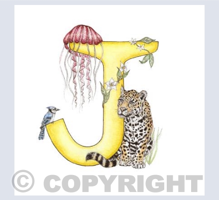 'J' letter Illustration
