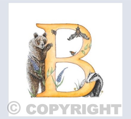 'B' Letter Print
