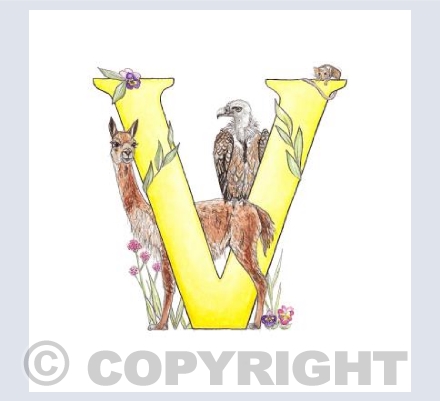 'V' letter