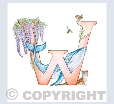 'W' letter