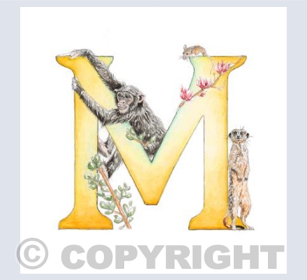 'M' letter illustration