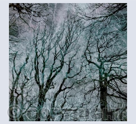 Winter Storm