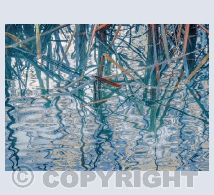 Reflecting on Reeds