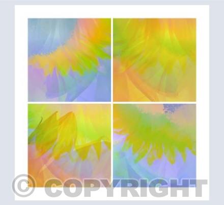 Sunflower Abstract Montage