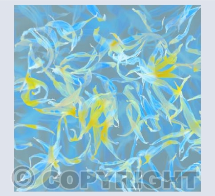 Sunflower Petals