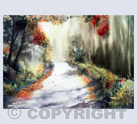 A Walk in the New Forest 