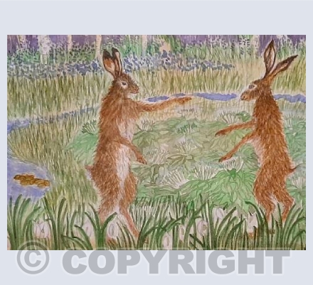 Springtime in the woods