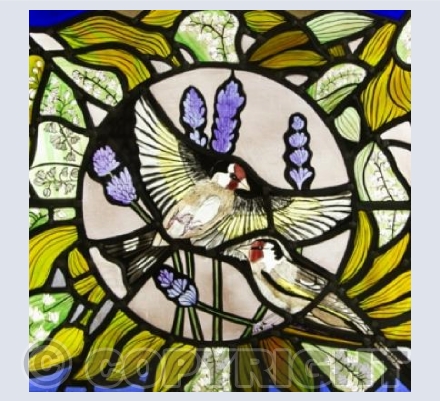 Goldfinches on the Lavender