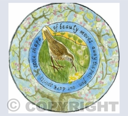 Song thrush in the apple blossom