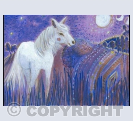 Believe in the magic of your dreams