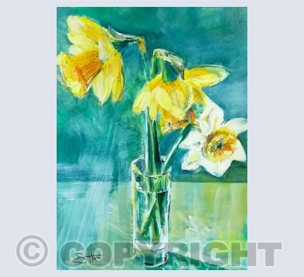 Three Little Daffs in the Sun