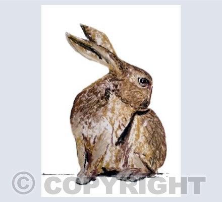 Hare