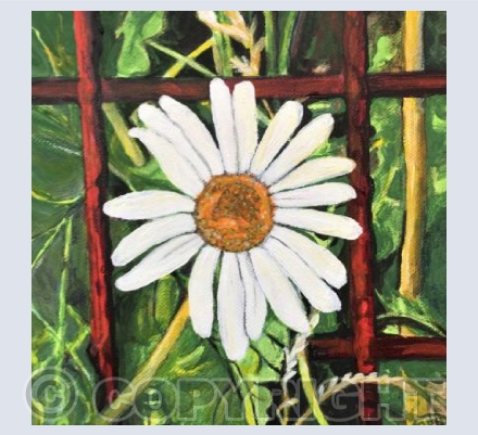 DaisyBarNone
